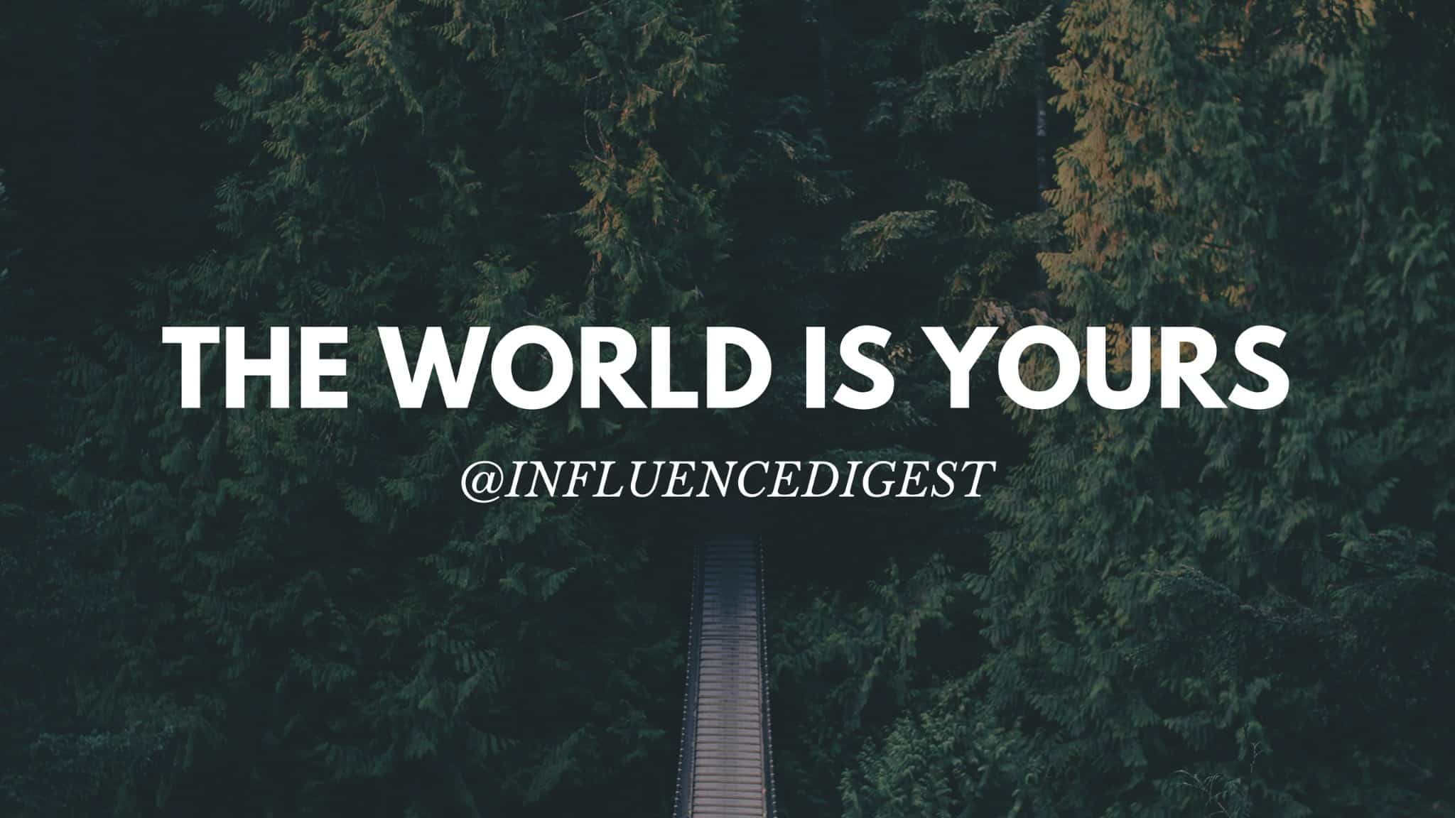Successful Individuals Are Delusional Which Is Why They Succeed