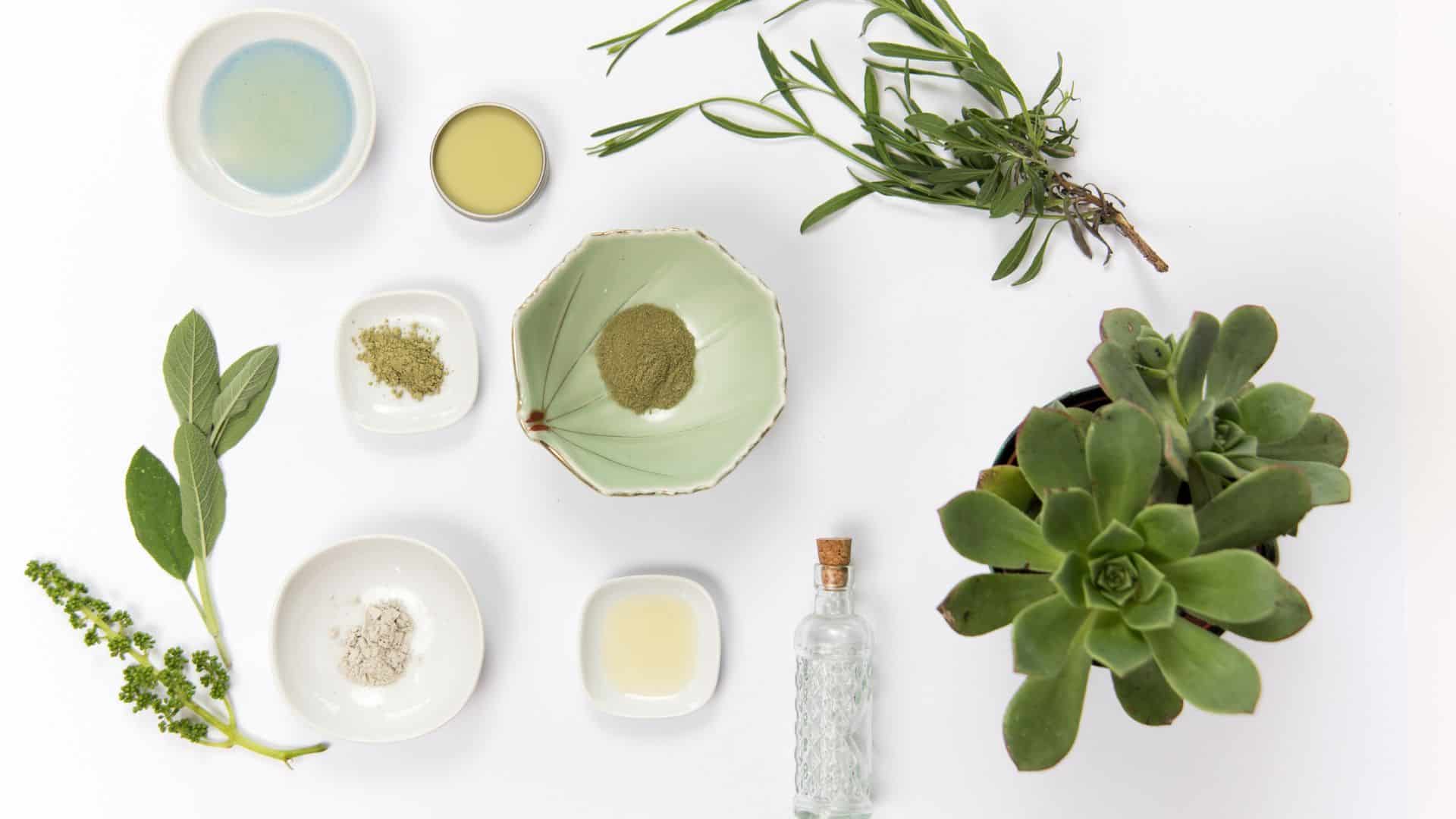 Natural Ingredients for Your Skin
