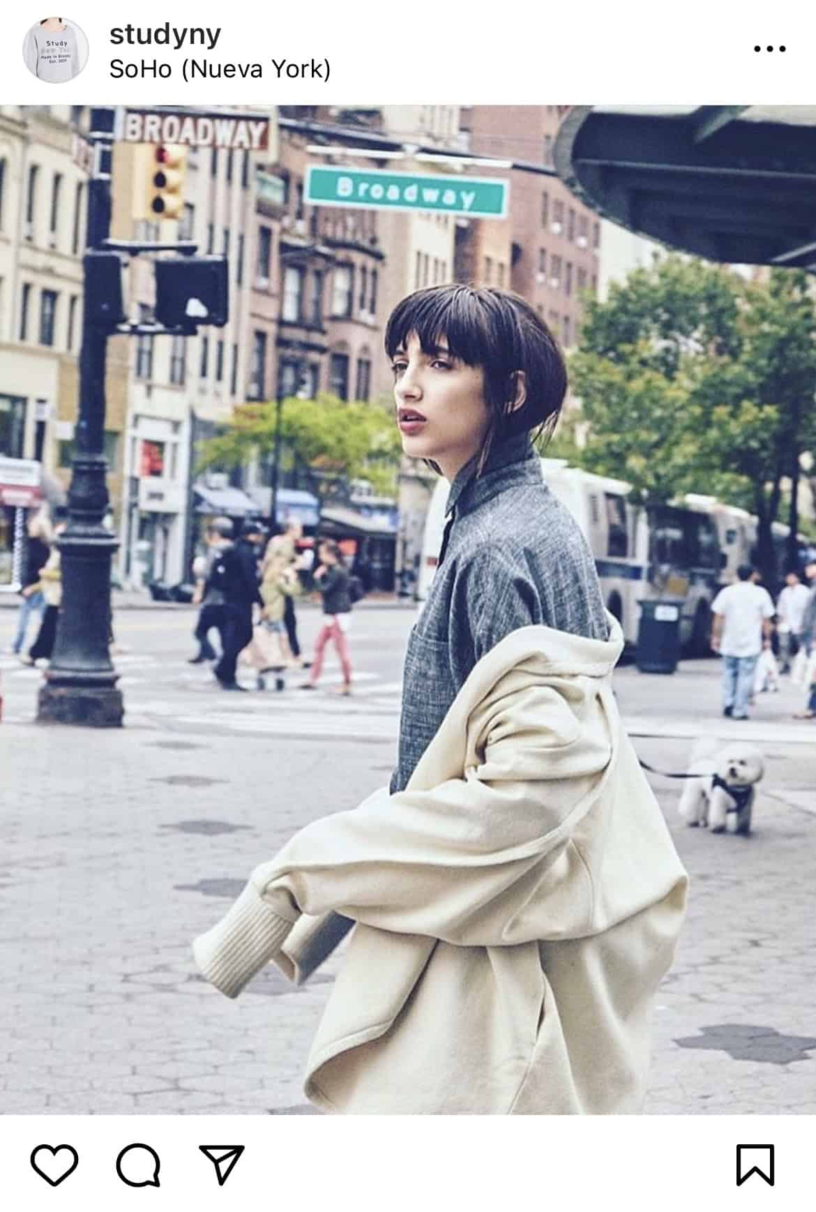 Study NY